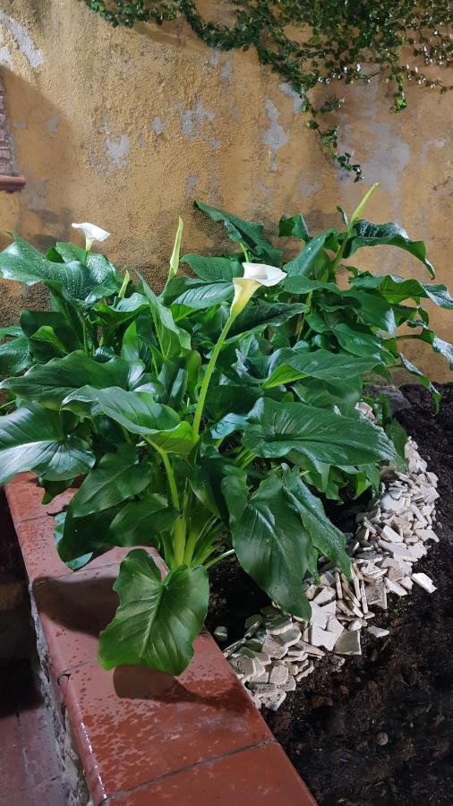 Il Giardino Sul Corso Apartment Скафати Екстериор снимка