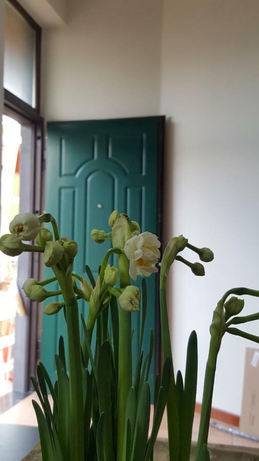 Il Giardino Sul Corso Apartment Скафати Екстериор снимка