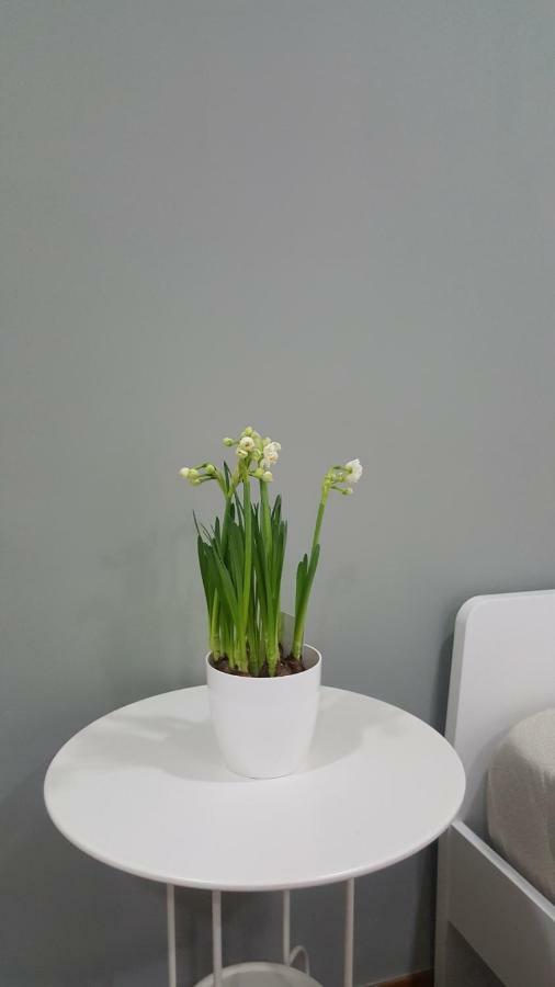 Il Giardino Sul Corso Apartment Скафати Екстериор снимка